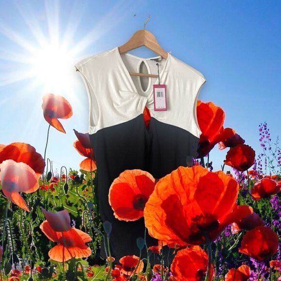 Vince Camuto Sleeveless Black White Classic Summer Top new Lg - Picture 2 of 6